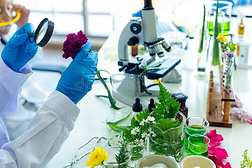 科學(xué)發(fā)展觀與自然科學(xué)研究和試驗(yàn)發(fā)展的內(nèi)在統(tǒng)一